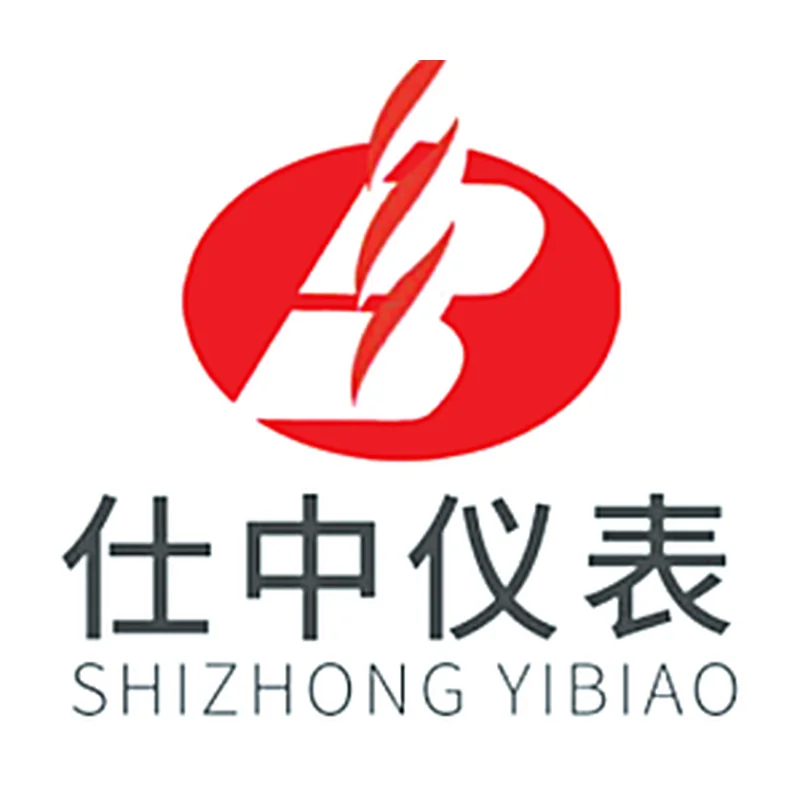 Shizhong Instruments logo